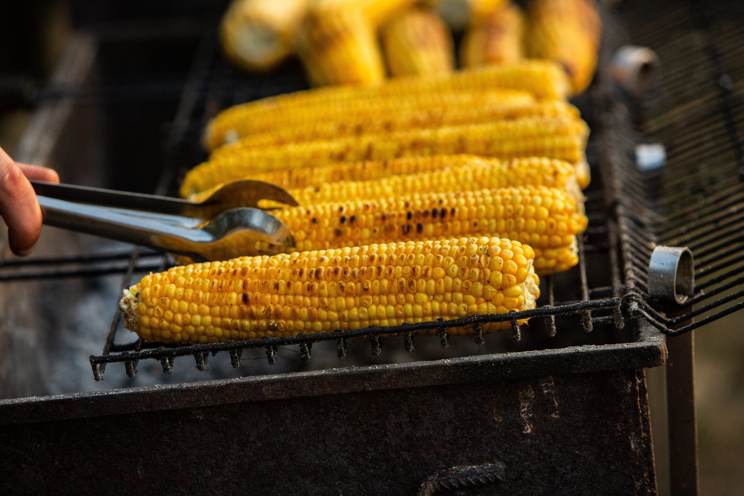 Fresh,Roasted,Or,Grilled,Corncobs.,Grilled,Corn,For,Sale,On