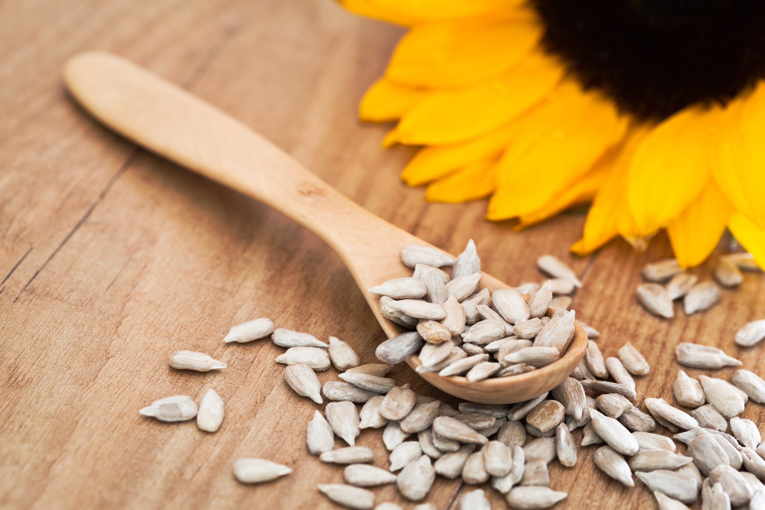 Sunflower,Seed,With,A,Wooden,Spoon.